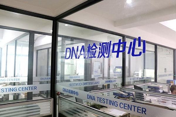 郴州DNA检测多少钱（探秘DNA检测的价格与结果解读） 